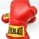 Everlast Youth Boxing Gloves Kids Size Small Red