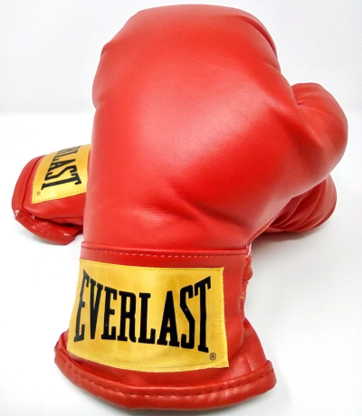 Kids Red Everlast Boxing Gloves